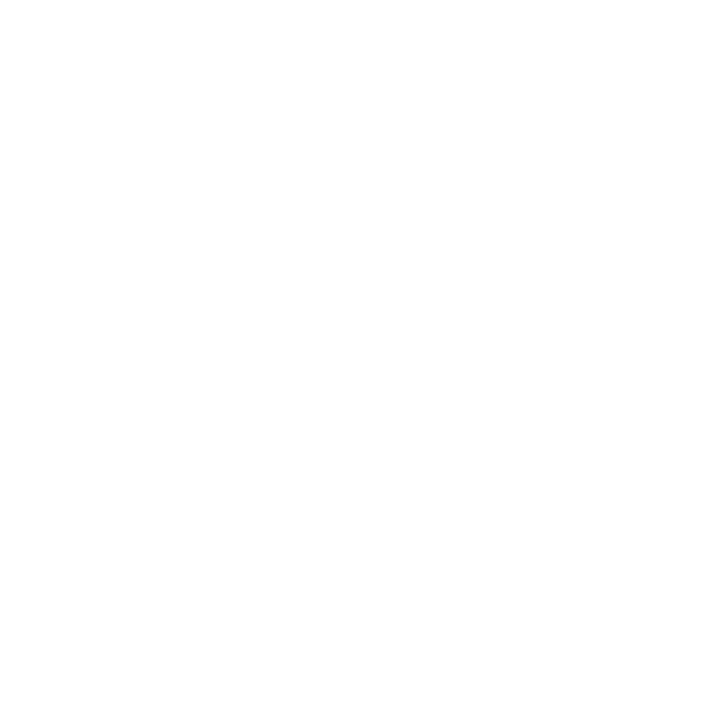 Zona Local Logo